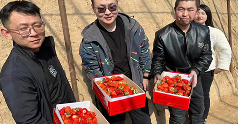 采出歡樂·莓你不行